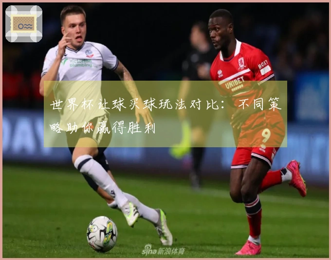 世界杯让球买球玩法对比：不同策略助你赢得胜利