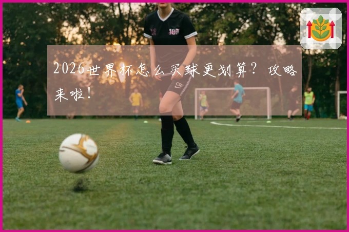 2026世界杯怎么买球更划算？攻略来啦！
