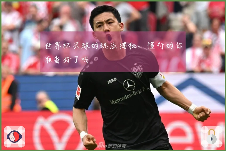 世界杯买球的玩法揭秘，懂行的你准备好了吗