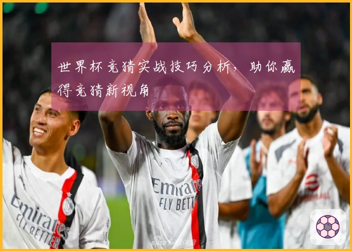 世界杯竞猜实战技巧分析，助你赢得竞猜新视角
