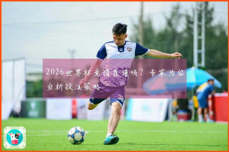 2026世界杯竞猜靠谱吗？专家为你分析投注策略