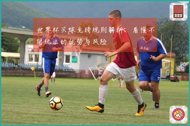 世界杯买球竞猜规则解析：看懂不同玩法的优势与风险