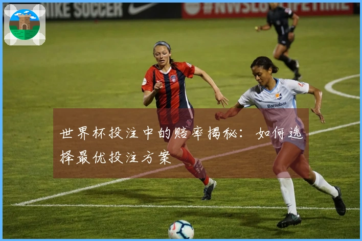 世界杯投注中的赔率揭秘：如何选择最优投注方案